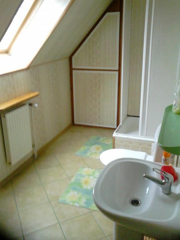 Appartement Olsik à Białowieża Extérieur photo