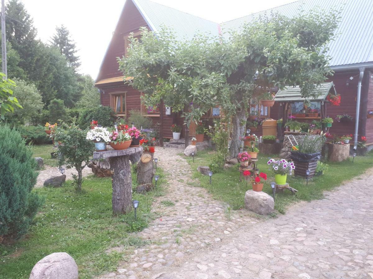 Appartement Olsik à Białowieża Extérieur photo